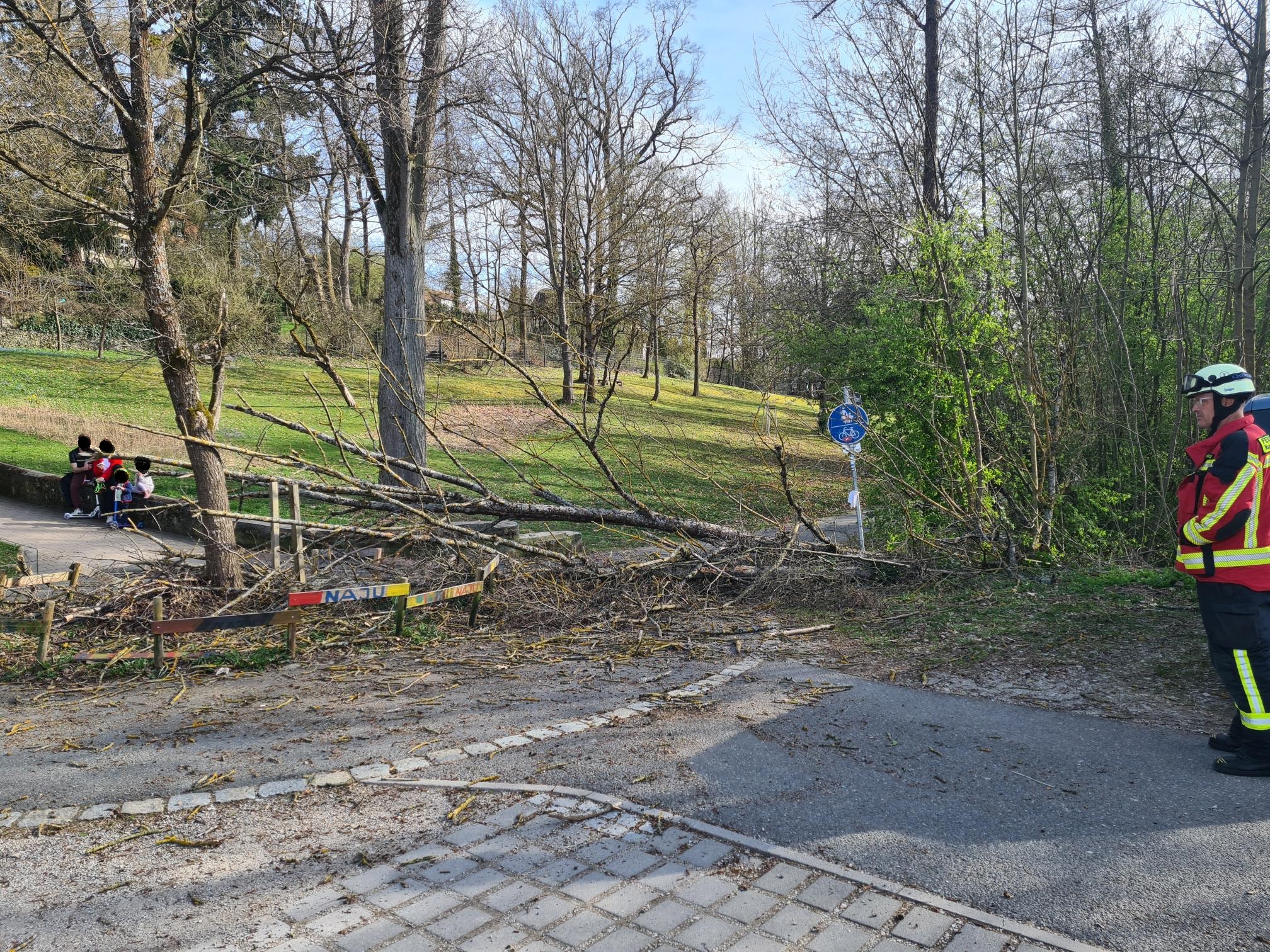 20260405_170727 bearbeitet.jpg